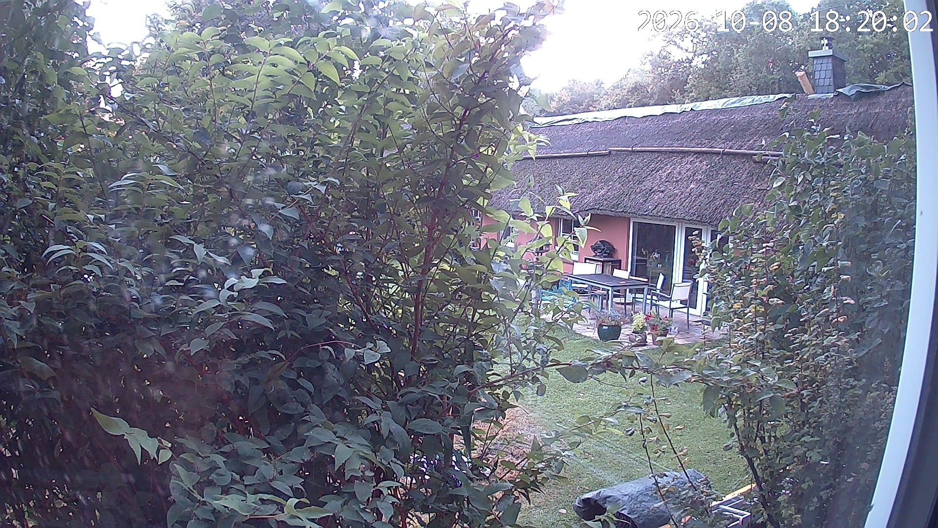 Webcam